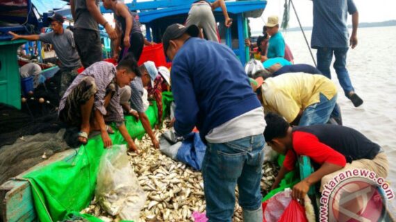 20171016banjirkembungdikkujpg Bajo Tours