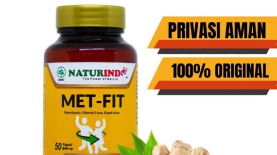 id111342077r98tltdd0slc8s3800 Bajo Tours